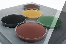 10 Basic Chemicals Manufacturers & Suppliers in Belgium